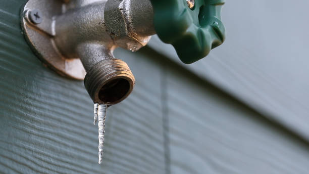 Best Plumbing Services Near Me  in Willow Park, TX